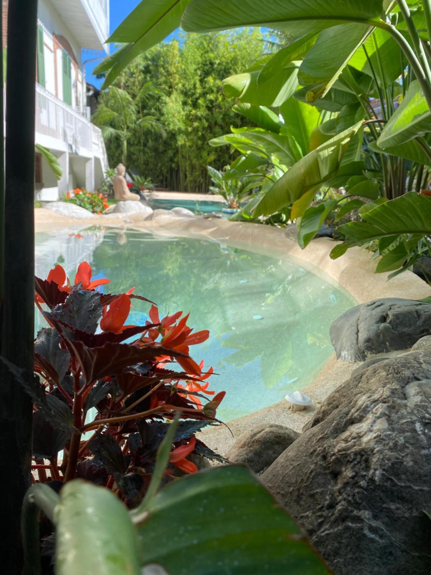 Appt Ambiance Chalet 2Ch Piscine Lagon Apartment Tarbes Exterior photo