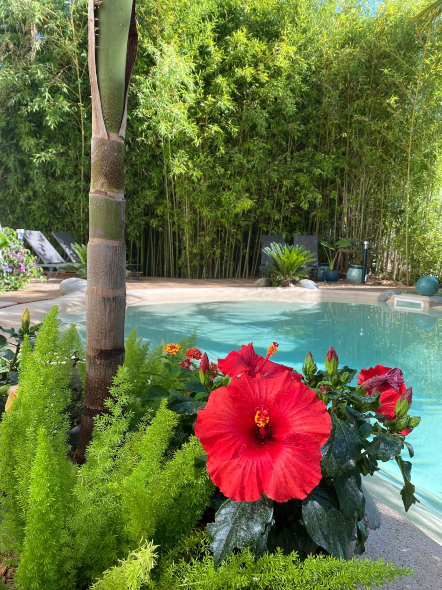 Appt Ambiance Chalet 2Ch Piscine Lagon Apartment Tarbes Exterior photo